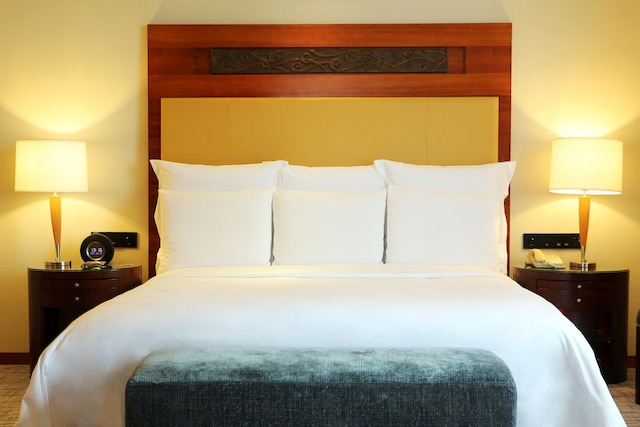 ルネッサンス 武漢 (武汉光明万丽酒店)