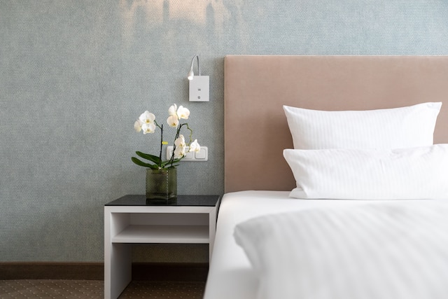 ホテル アン デア オペー