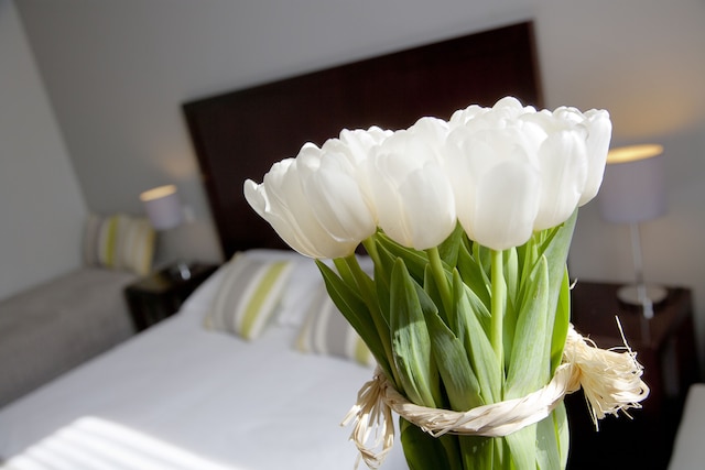 ルレ アクロポリス