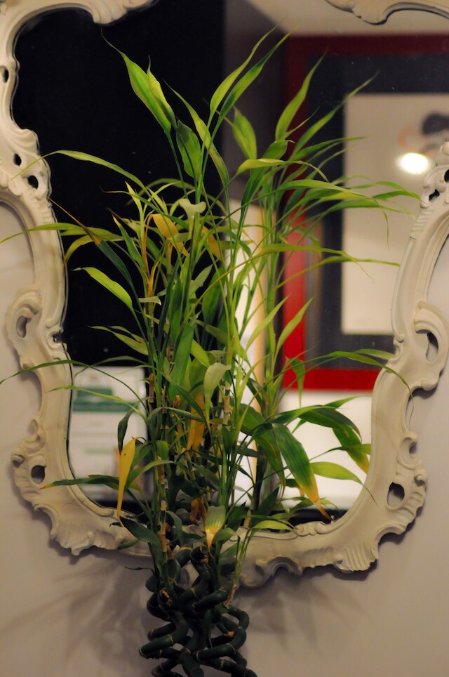 ルレ パラッツォ タベルナ - ゲスト ハウス