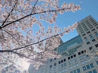 ホテルモントレ ラ・スール大阪