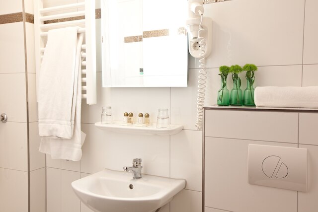 ホテル アレーナ アム ツォー