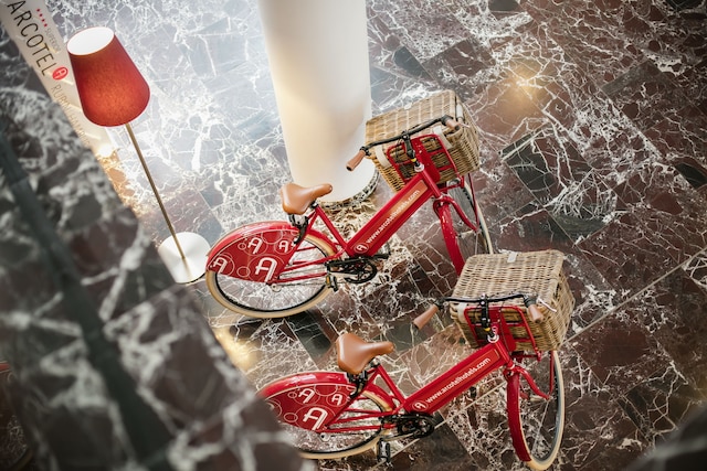 アルコテル ルービン ハンブルク