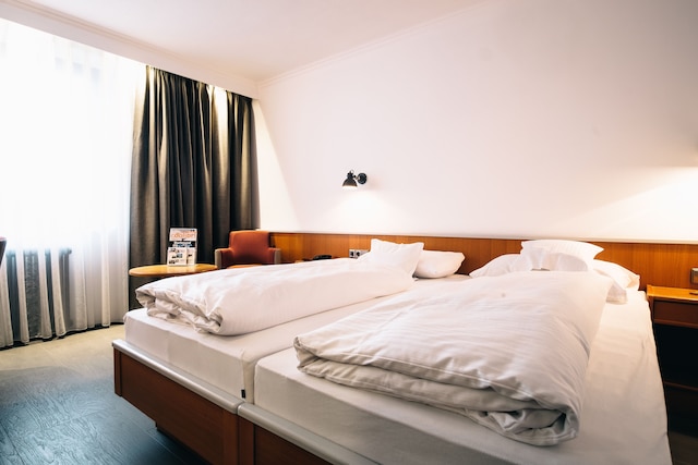 アクツェント ホテル コナー ホフ