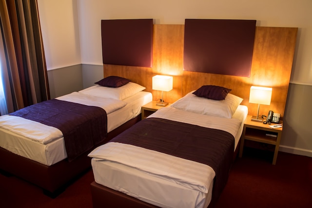 ホテル ニーダーラート - セルフ チェック イン