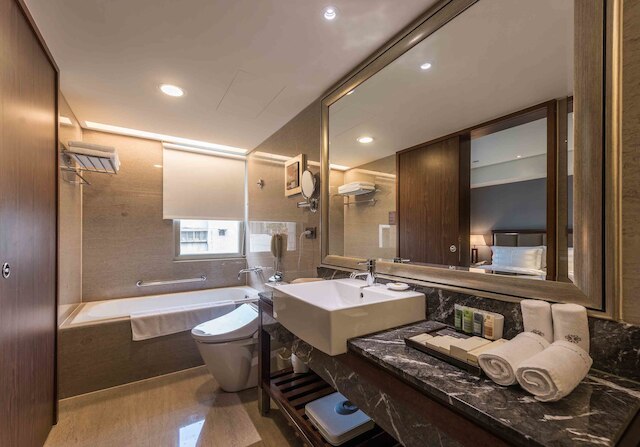 ロイヤル ビズ台北 (金来商旅)