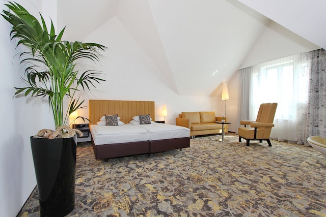 アルコテル カミノ