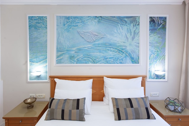 アルモン ハヤーコン