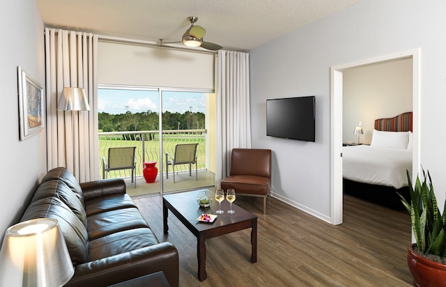 メリア オーランド セレブレーション