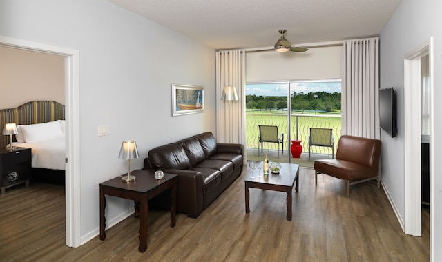 メリア オーランド セレブレーション