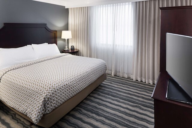 エンバシー スイーツ バイ ヒルトン タンパ ブランドン