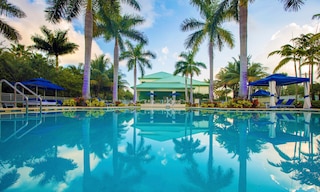 プロビデント アット ザ ブルー