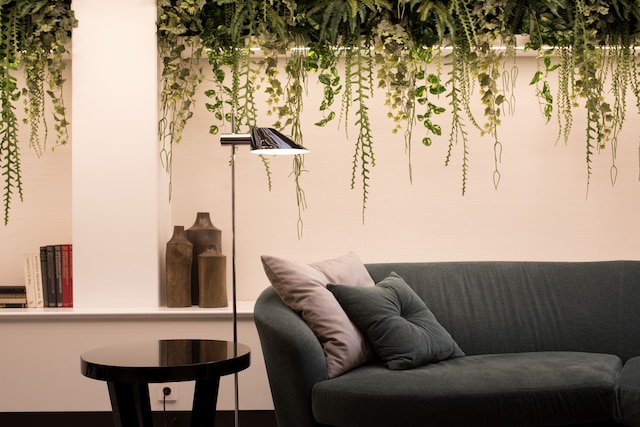 アカシア スイート