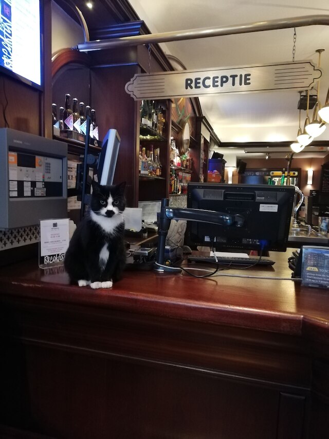 ホテルオールド クォーター