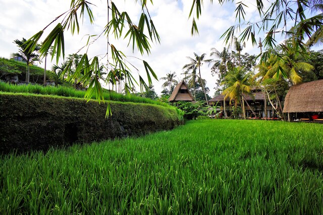 アルマ ミュージアム & リゾート