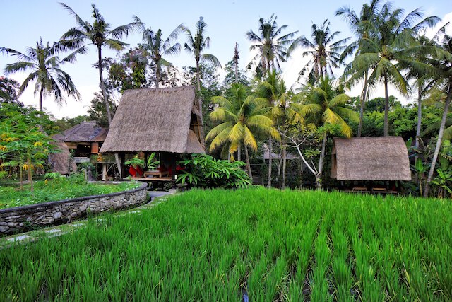 アルマ ミュージアム & リゾート