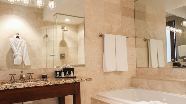 ホテル アイビー ラグジュアリー コレクション ホテル ミネアポリス