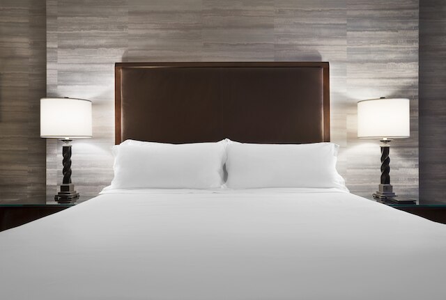 ホテル アイビー ラグジュアリー コレクション ホテル ミネアポリス