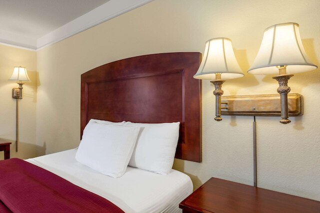 ラ キンタ イン & スイーツ バイ ウィンダム ドッジ シティ