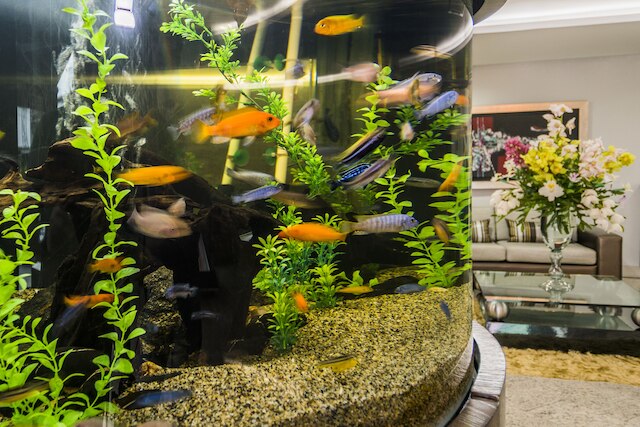 ホテル エギナ メデジン