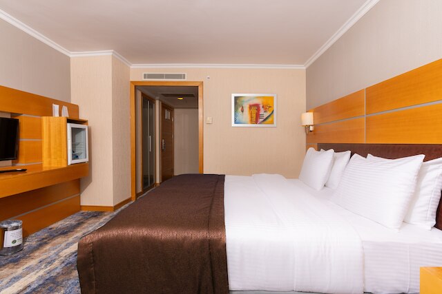 アンカラ プラザ ホテル