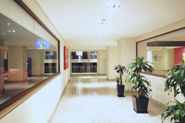 エグクセ アラメダ レフォルマ