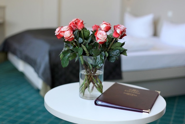 ホテル & アパートメンツ ザレンホフ ベルリン プレンツラウアー ベルク