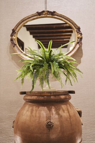 ロカンダ デ チオンピ