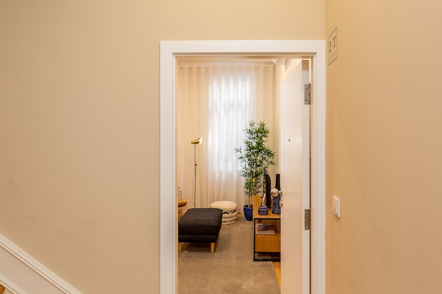 ヨーロポ - コージー  0 イン オポルト