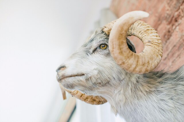 ザ プブリッシング ハウス B&B