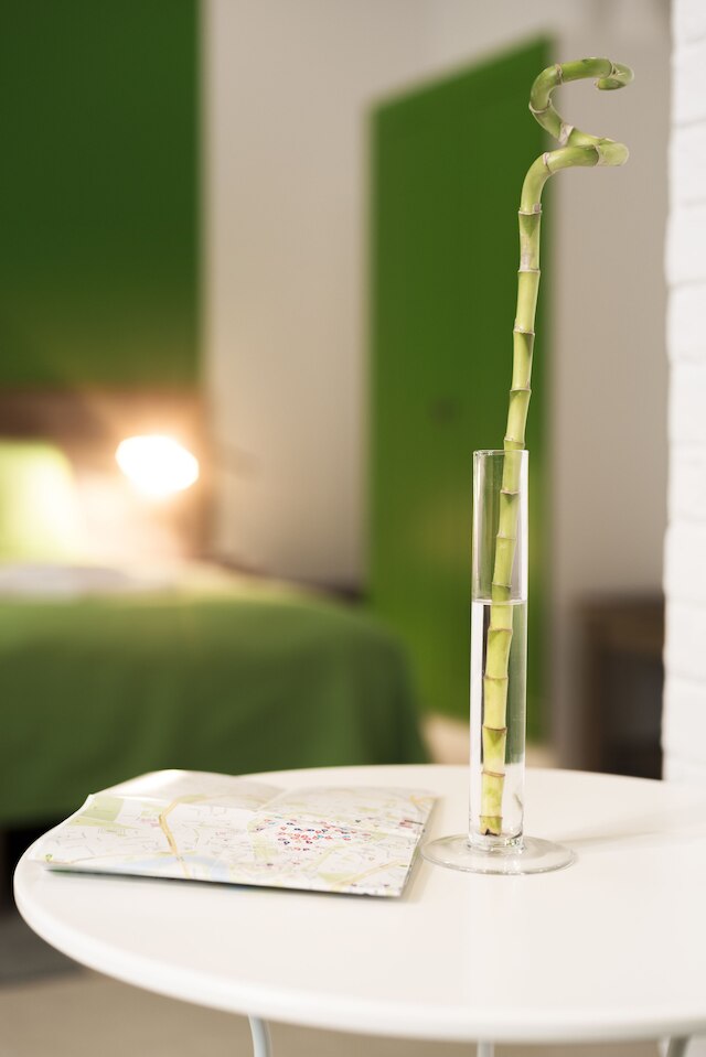 ジンジャー アパートホステル