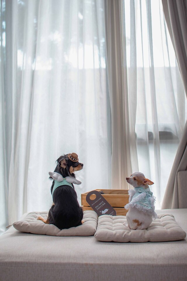 シーフィア パタヤ ホテル