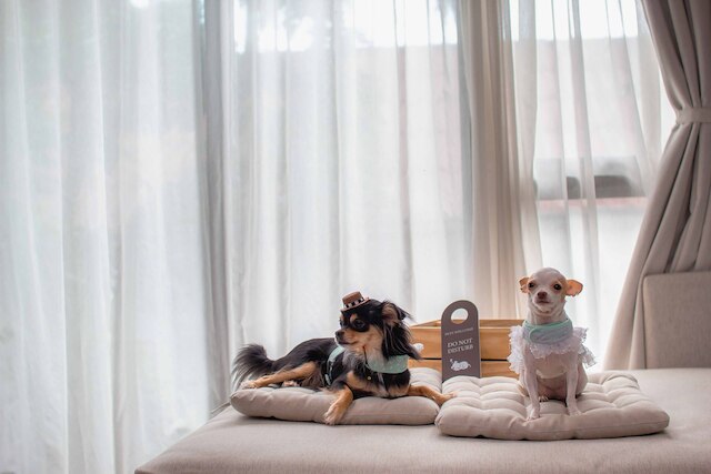 シーフィア パタヤ ホテル