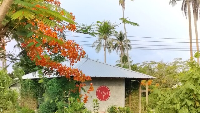 ナイバチャ テント コ マック