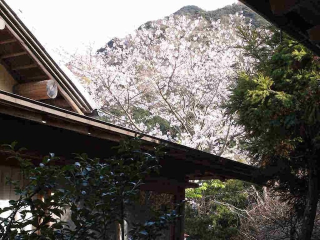 離れ家　石田屋