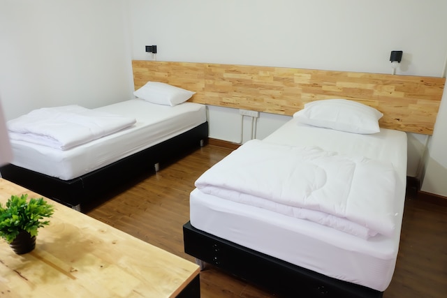 デイジー・ハウス - ホステル