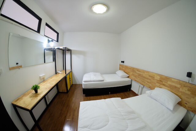 デイジー・ハウス - ホステル