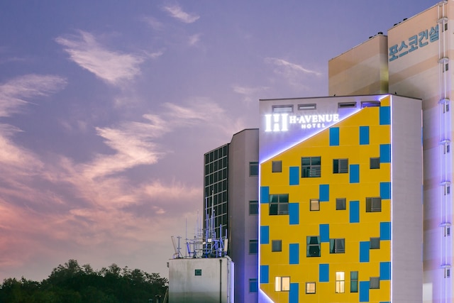 H アベニュー ホテル イデー シンチョン