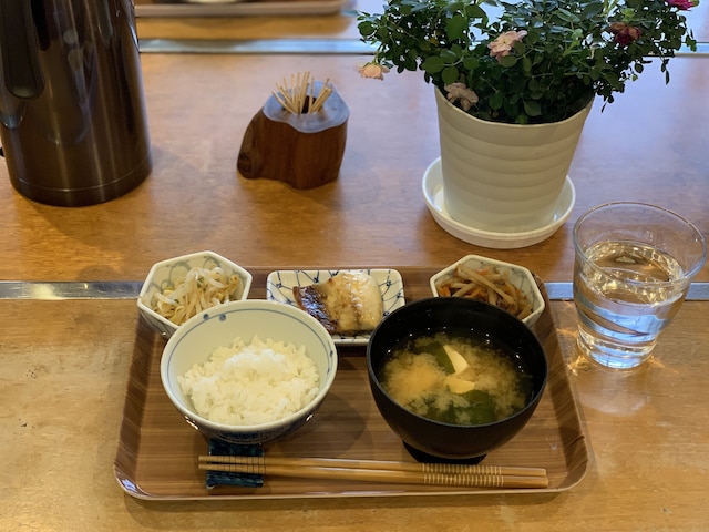 屋久島 民宿すぎのこ