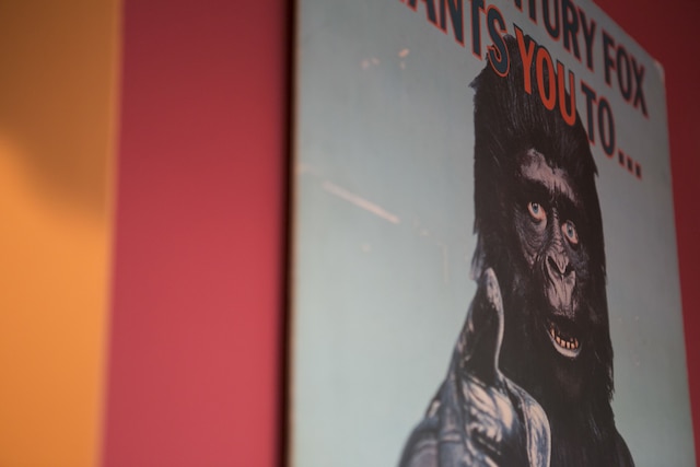 YAWP! バックパッカーズ