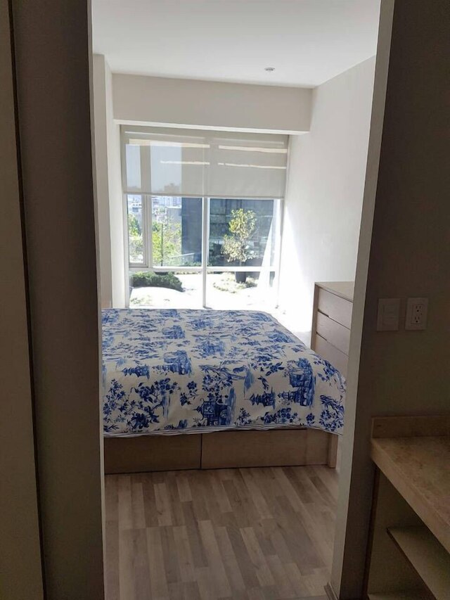 コージー アパートメント イン レフォルマ アベニュー