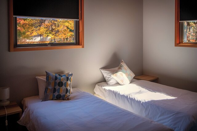 フェニックス コクーン