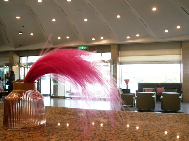 パール ホテル チェジュ