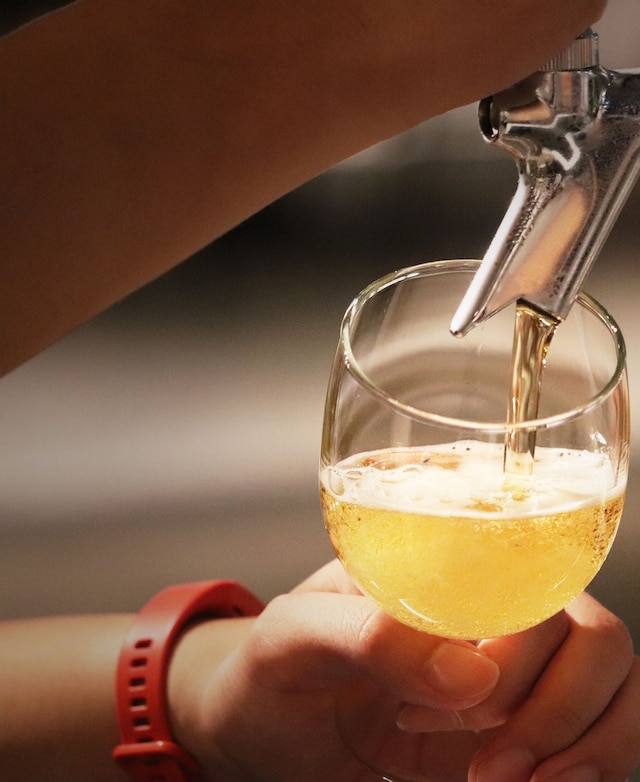 The Millennials 京都 (ザ・ミレニアルズ京都)