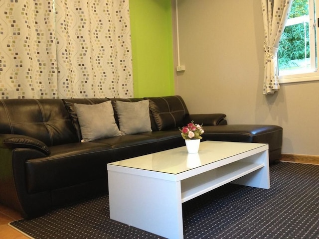 バン パク ポン