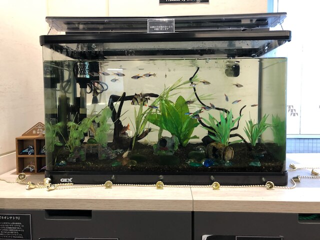 くれたけインプレミアム名古屋納屋橋