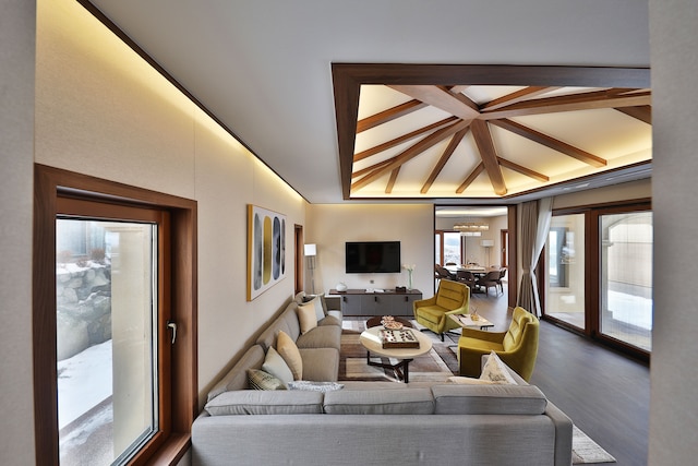 カンファーツリー ホテル & リゾート