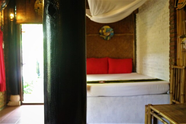 ココナッツツリーの下 - ホステル