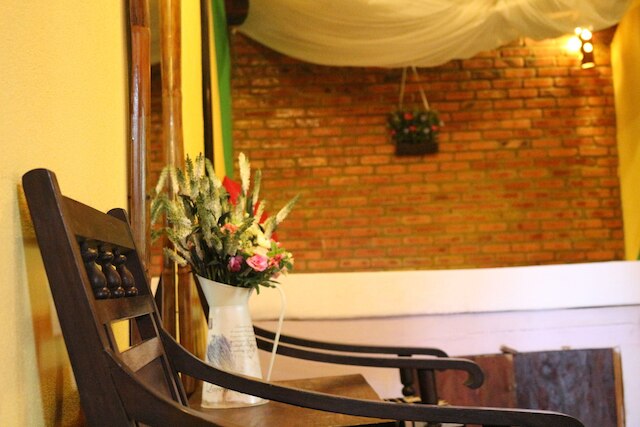 ココナッツツリーの下 - ホステル