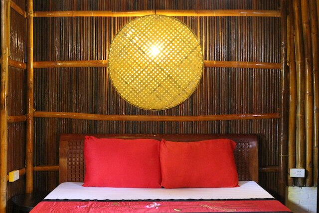 ココナッツツリーの下 - ホステル